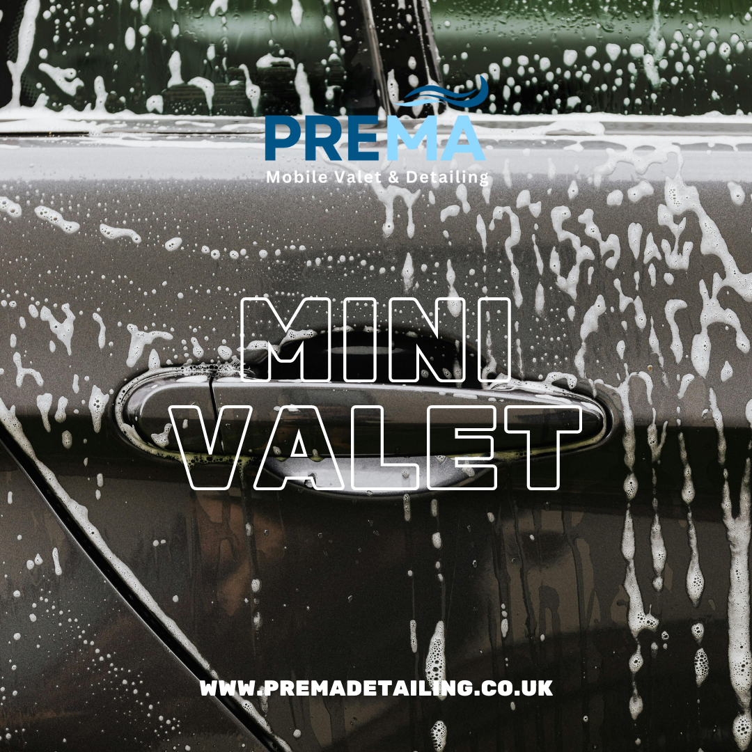 Mini Valet